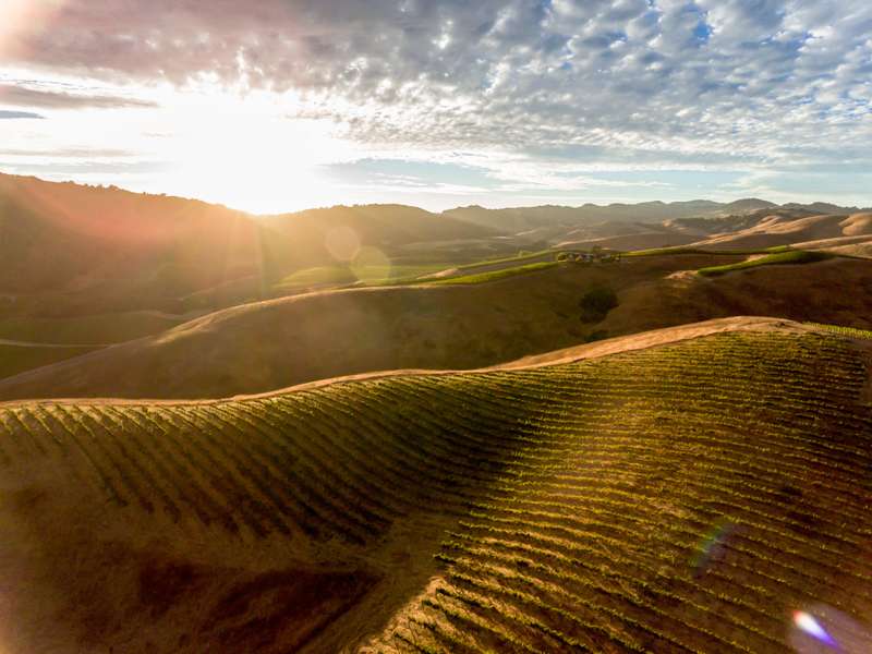 Where the Land Inspires What Comes Next
